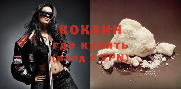 спиды Богданович
