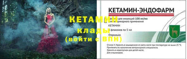 спиды Богданович