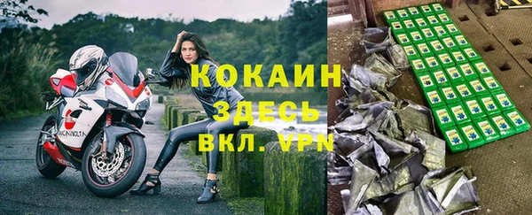 спиды Богданович