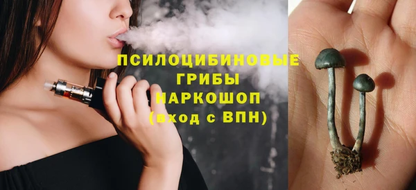 амф Богородицк