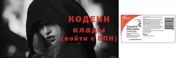 спиды Богданович