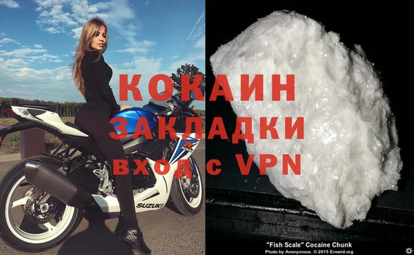 спиды Богданович