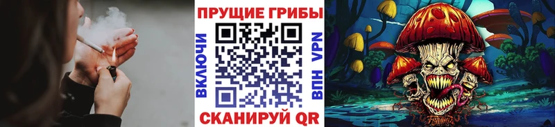 ссылка на мегу tor  купить  сайты  Дрезна  Галлюциногенные грибы ЛСД 
